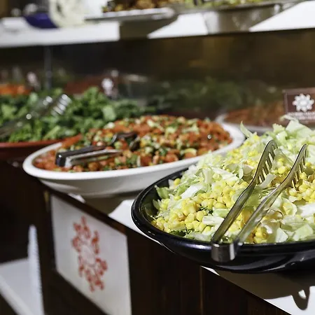 Dilek Kaya Ürgüp